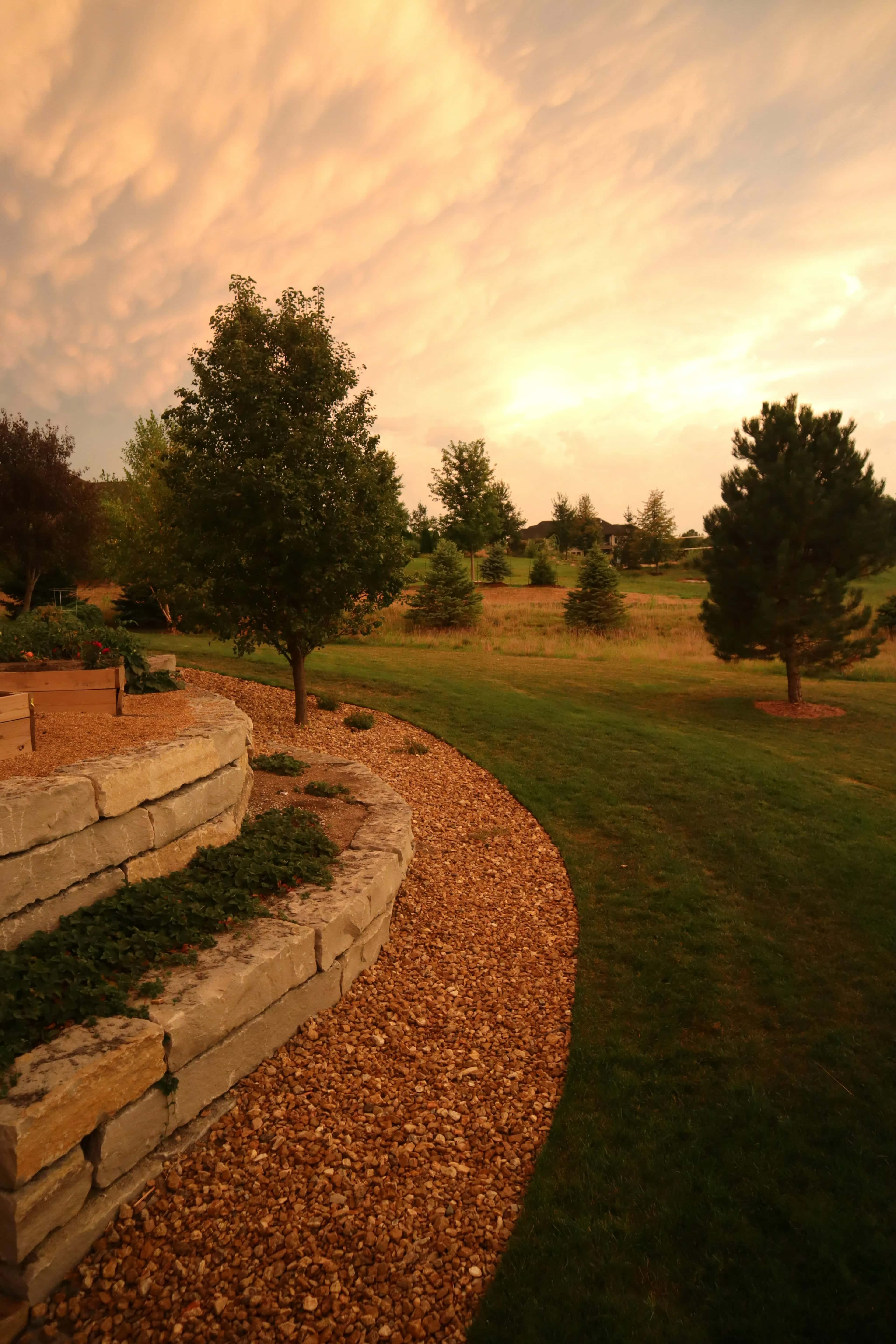 Hero image for Lite Land Management