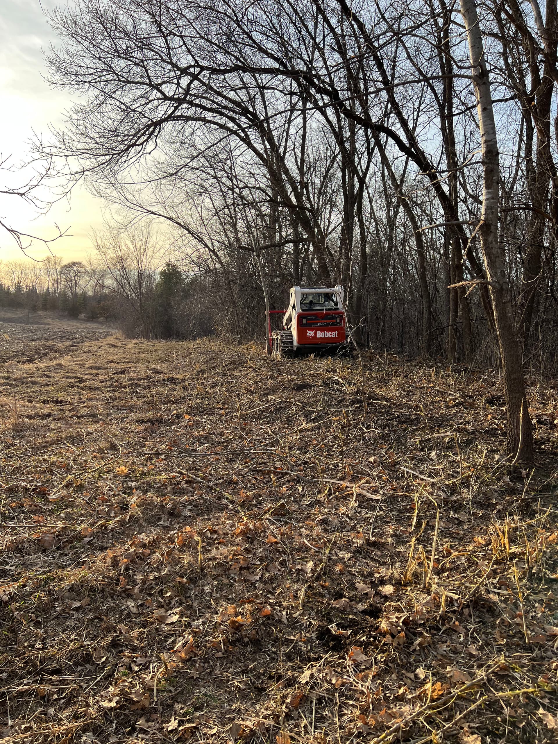 Gallery photos for Forestry Mulching Cleans Up Overgrown Land and Opens Usable Space: Image #1