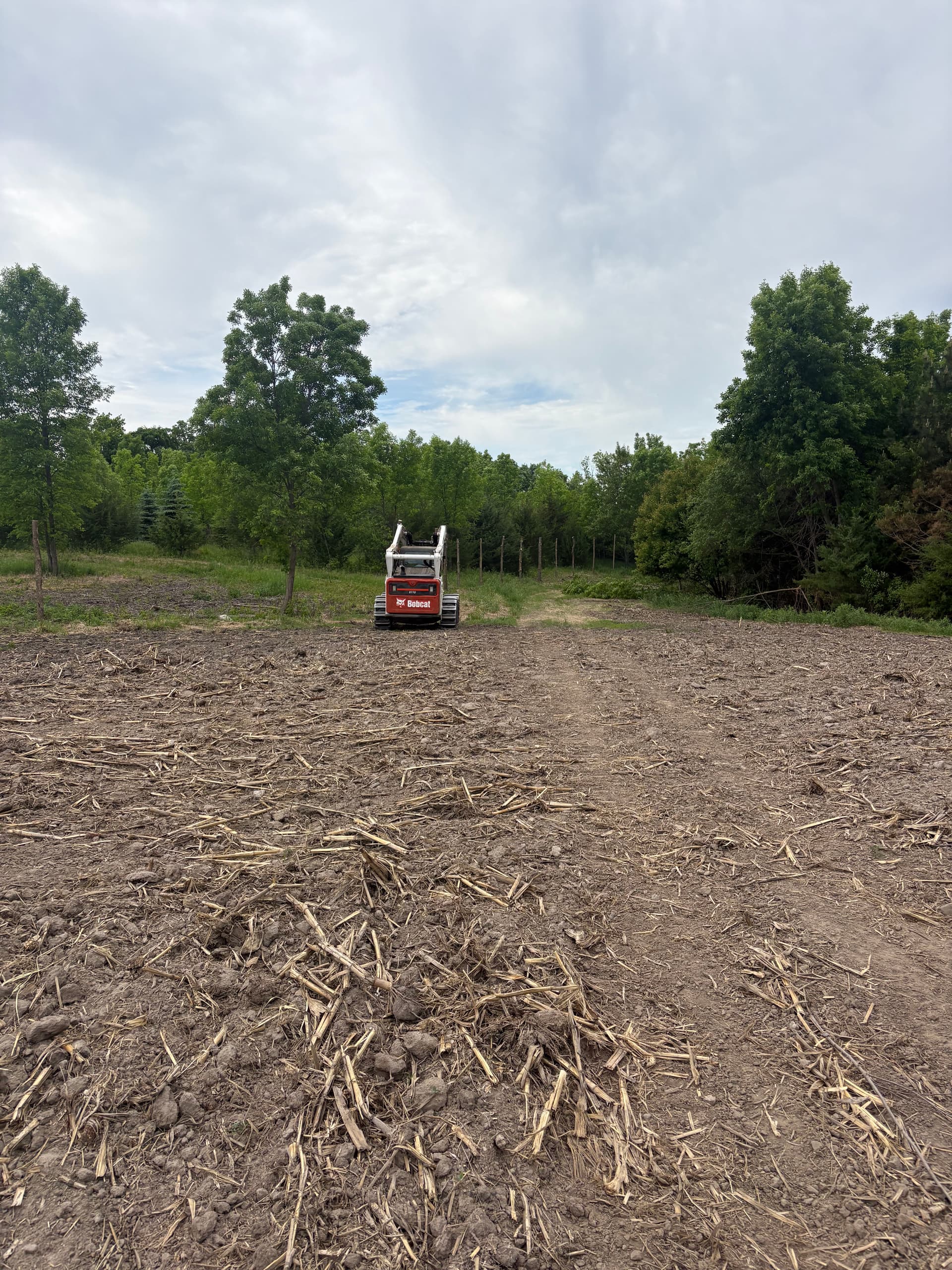 Fence Line Clearing That Keeps Your Property Secure image