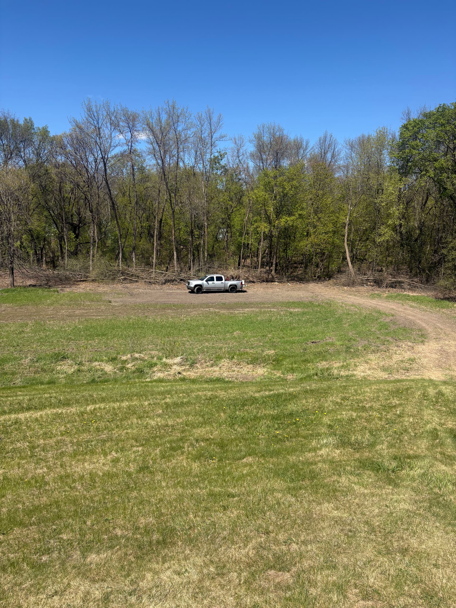 When Overgrown Land Needs a Fresh Start image