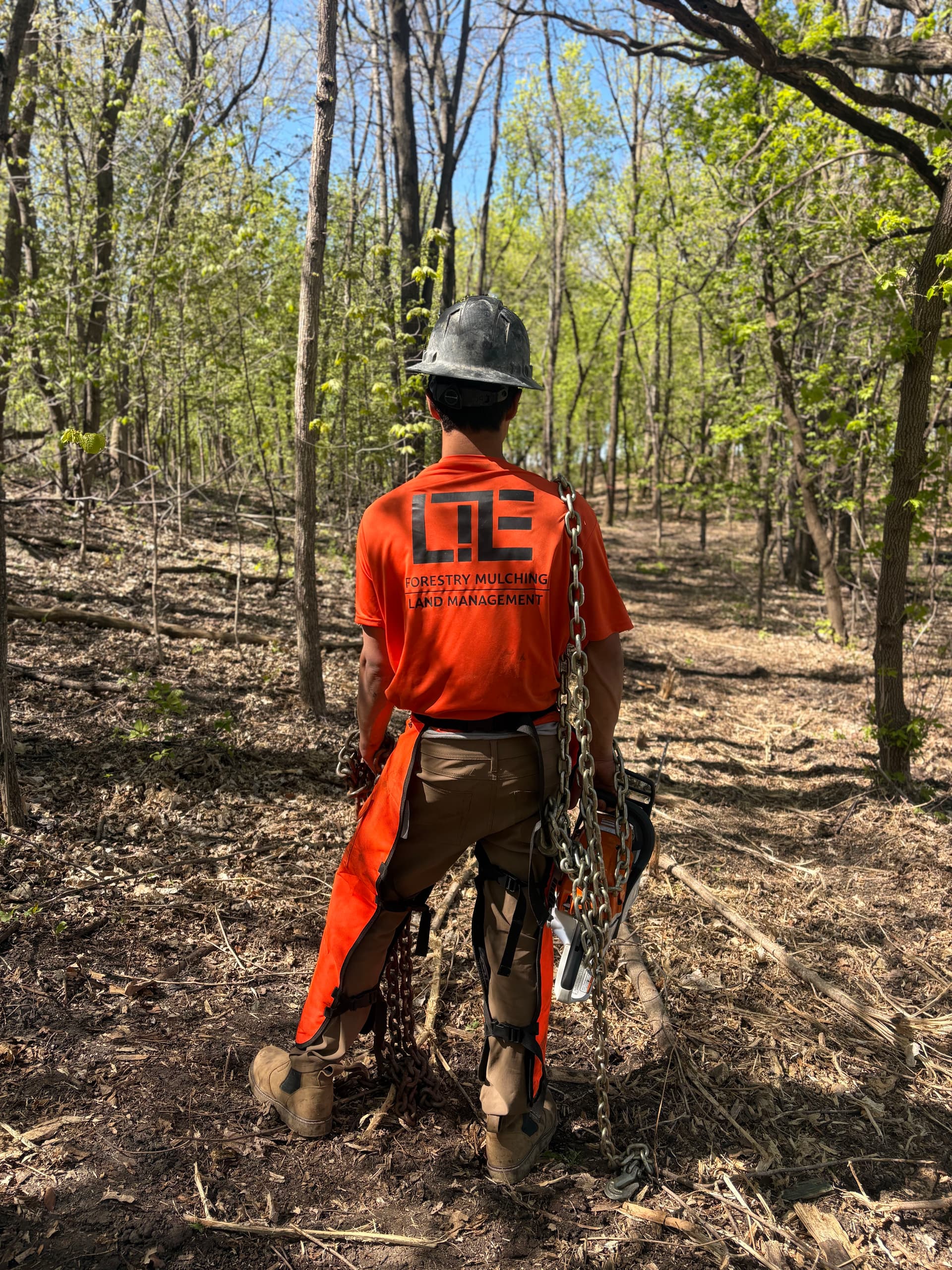 Suited Up and Ready to Work - Forestry Mulching Done Right image