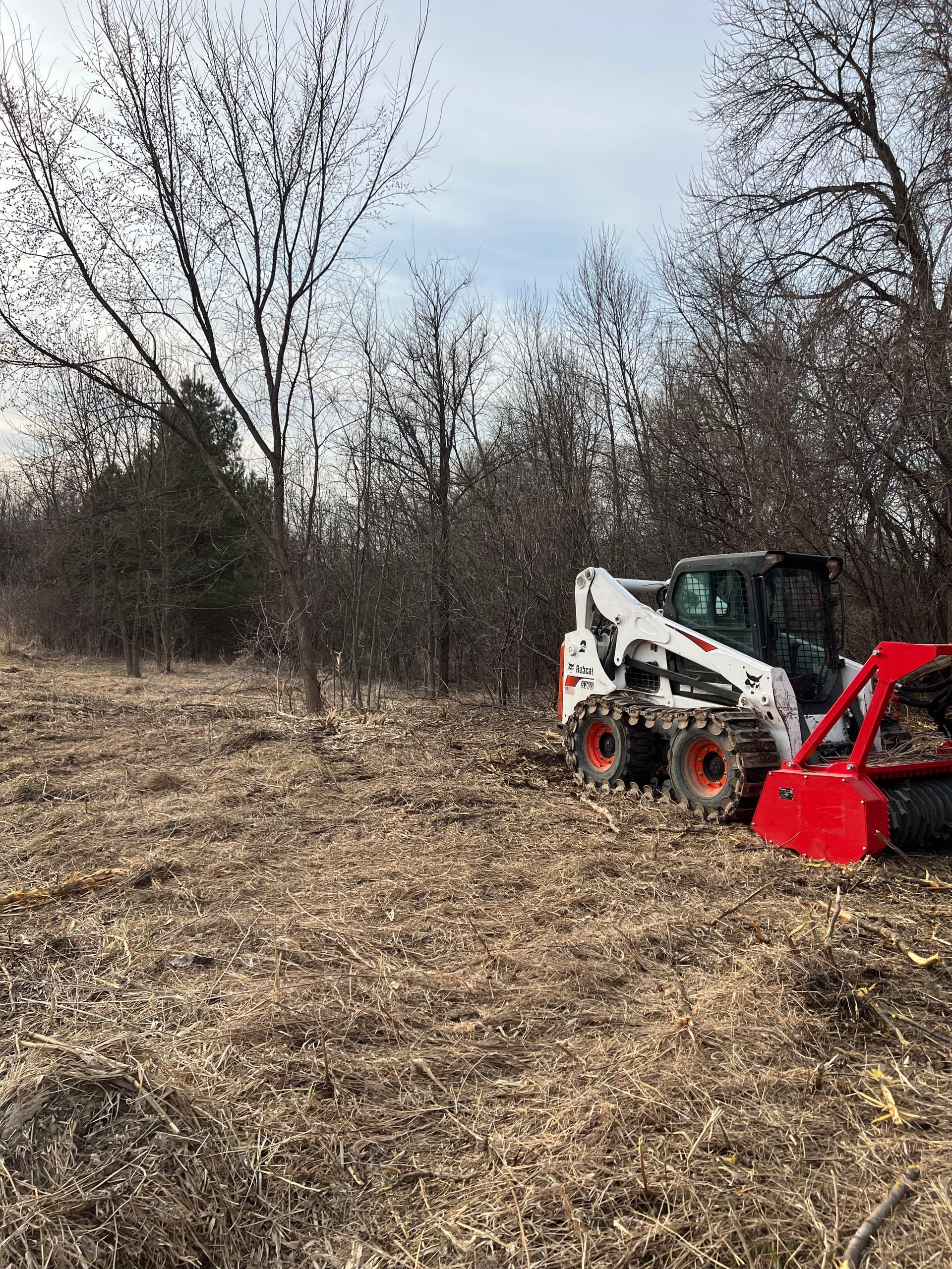 Forestry Mulching Cleans Up Overgrown Land and Opens Usable Space image
