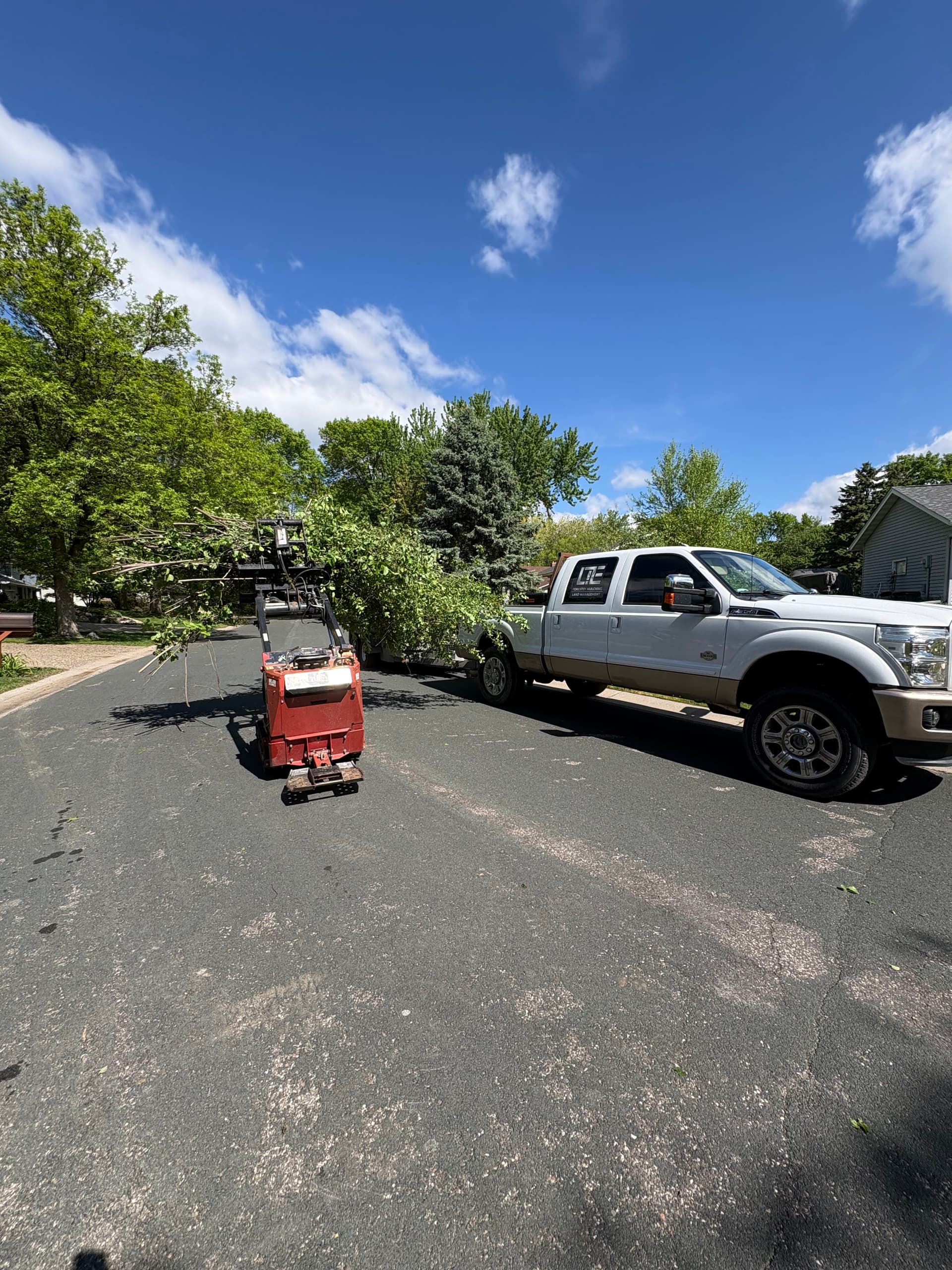 Gallery photos for Brush Hauling and Overgrowth Removal Done the Right Way: Image #1