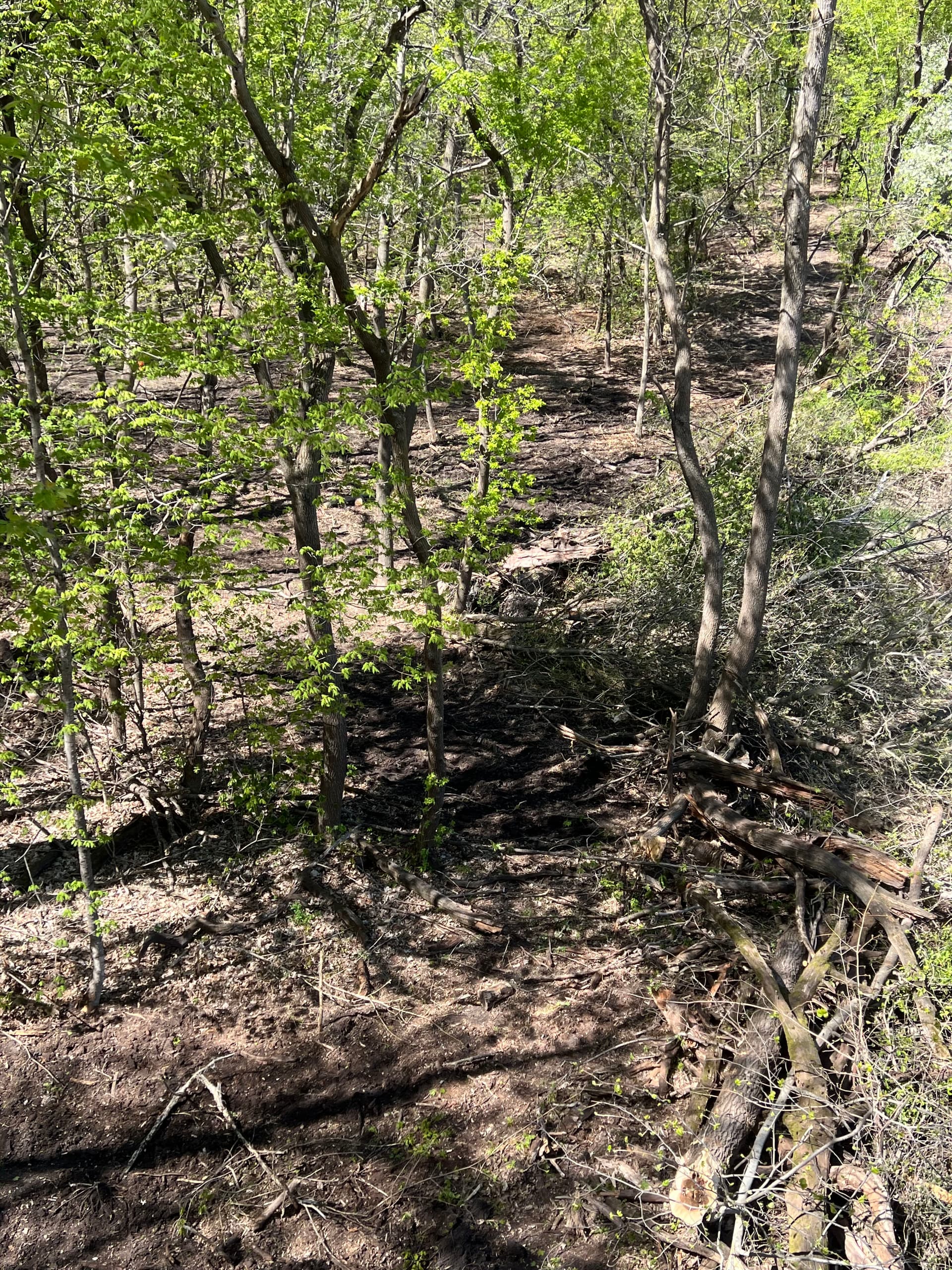 Gallery photos for Clearing and Grubbing Done Right - Opening Land the Way It Should Be: Image #1