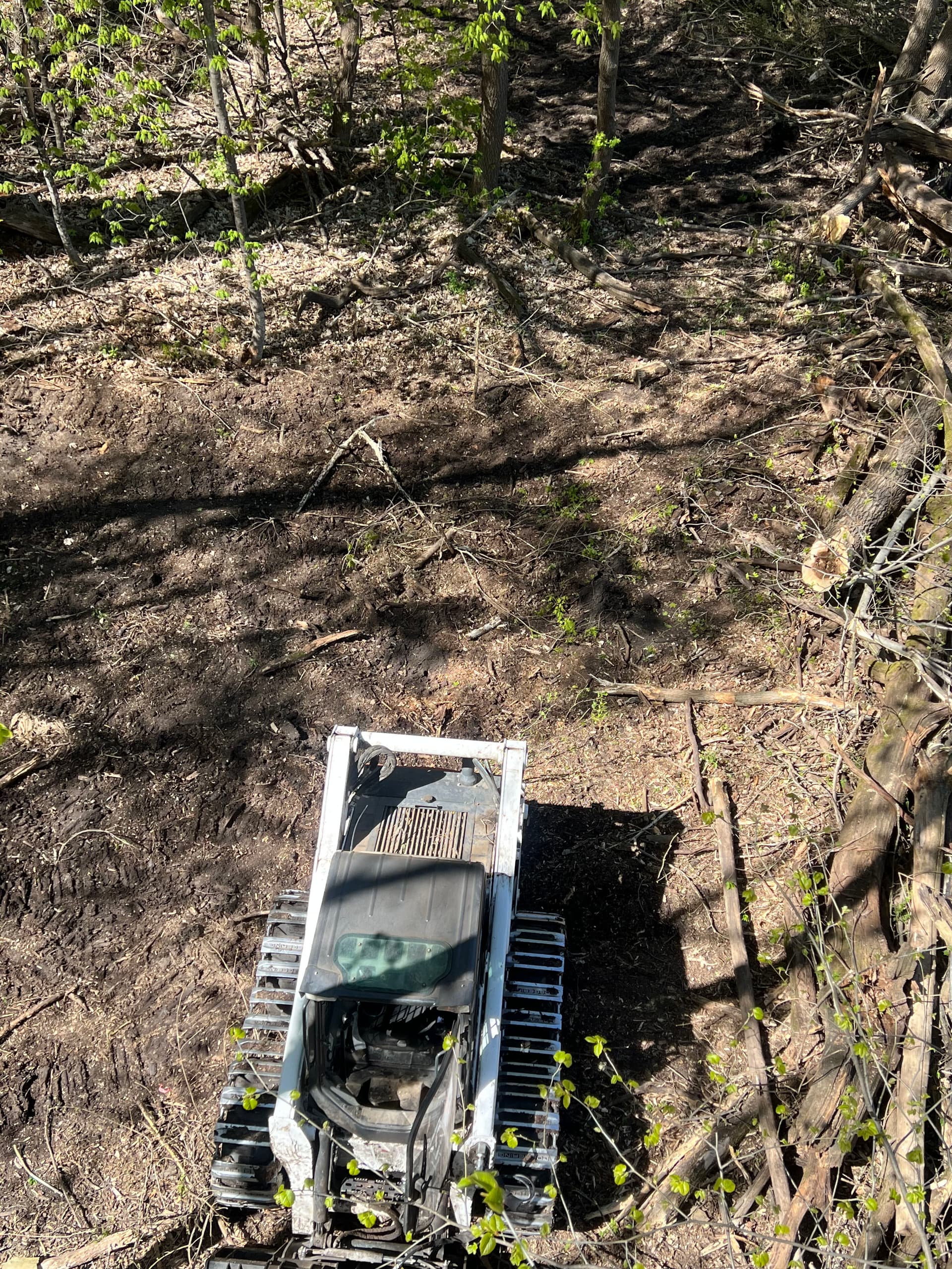 Clearing and Grubbing Done Right - Opening Land the Way It Should Be image