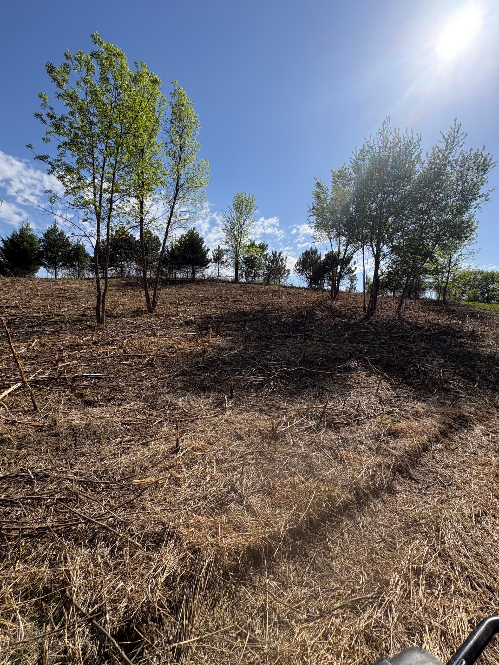 Gallery photos for Overgrown Hillside Cleared and Opened Back Up: Image #1