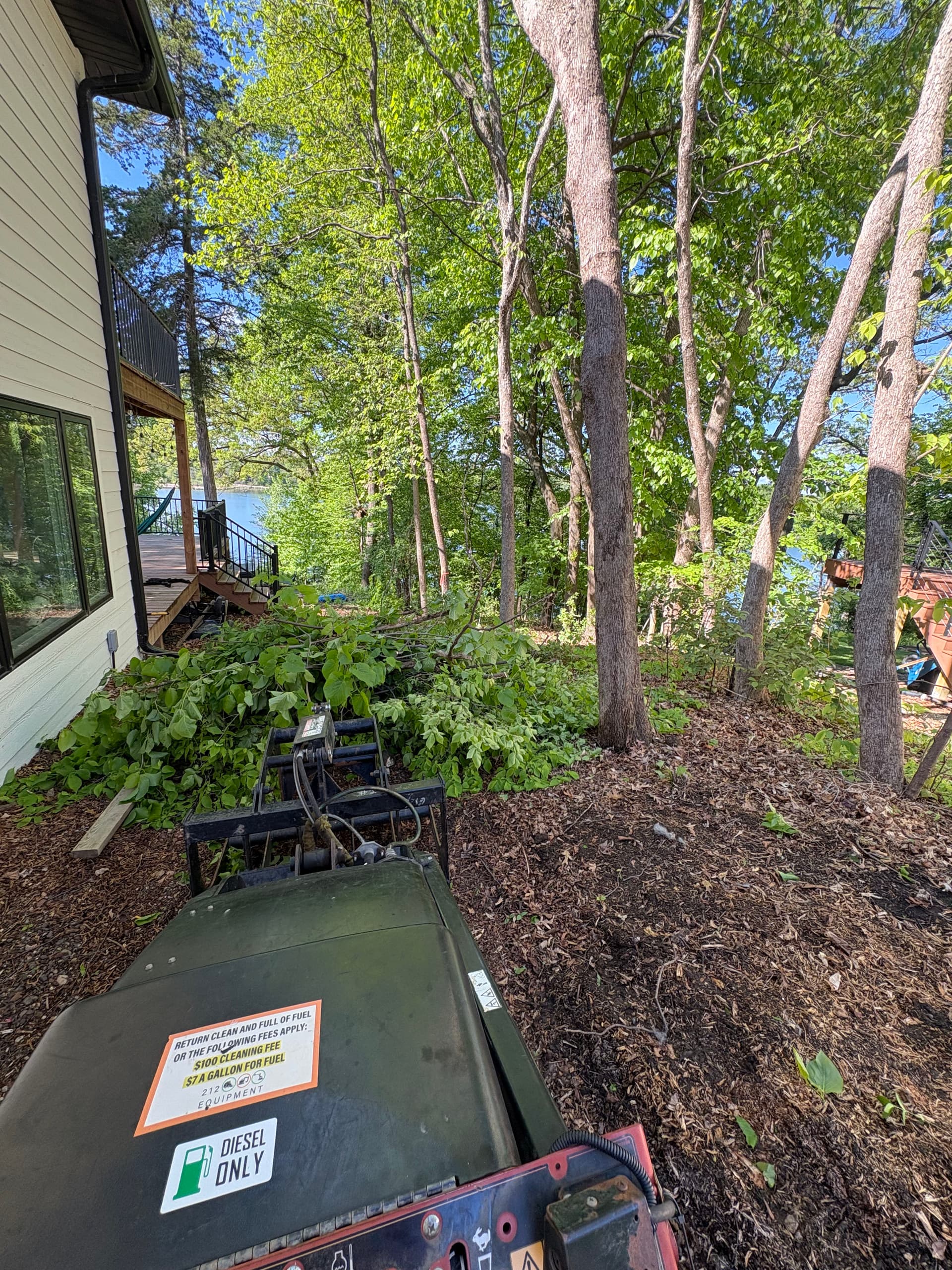 Brush Hauling and Overgrowth Removal Done the Right Way image