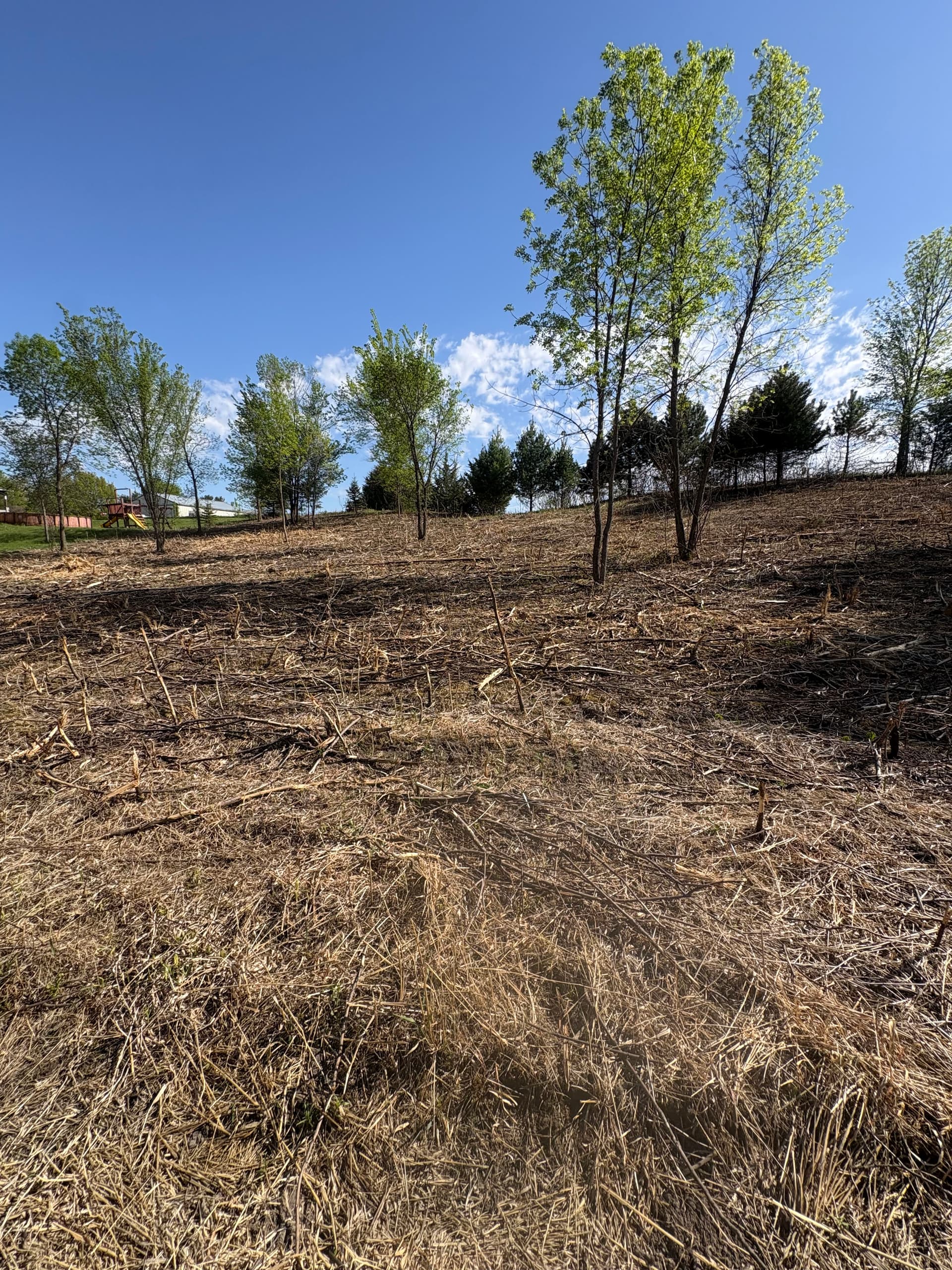 Overgrown Hillside Cleared and Opened Back Up image